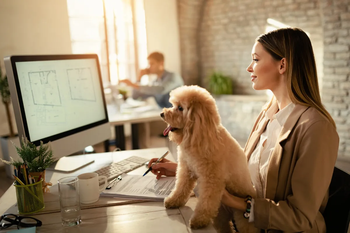 Person sitting at a desk in a bright, modern office with a small fluffy dog on their lap while reviewing documents and floor‑plan designs on a large computer monitor. The scene represents Creative Arts Financial banking solutions tailored for artists and gig workers.
